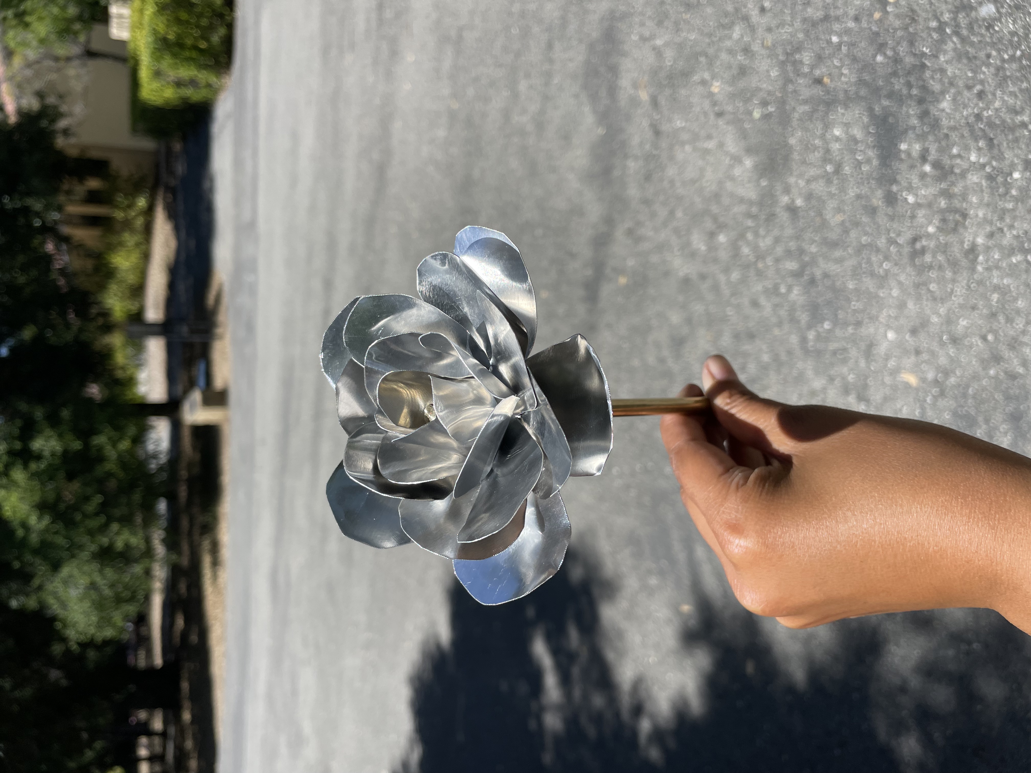 Metal rose side view