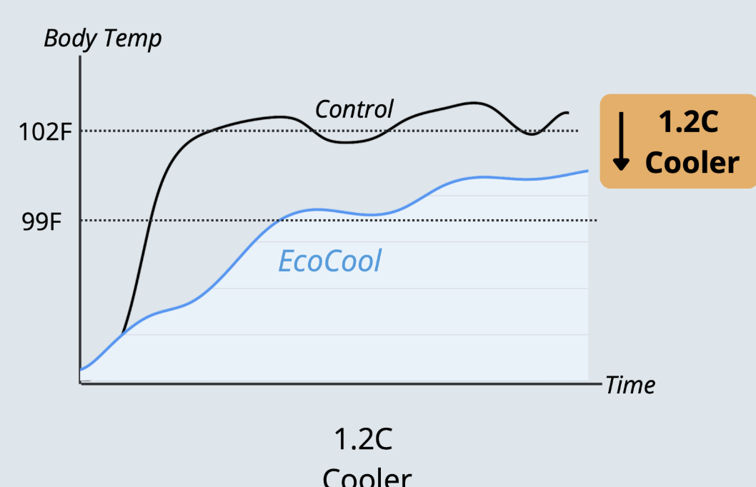 Non-invasive tympanic temperature logger